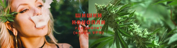 mdpv Каменск-Шахтинский