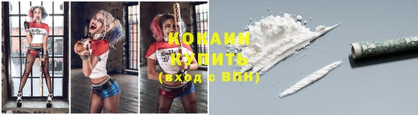 метадон Инсар