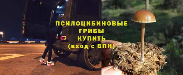 прущая мука Инта