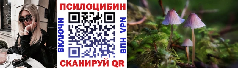Галлюциногенные грибы мицелий  Купить  Артёмовский 
